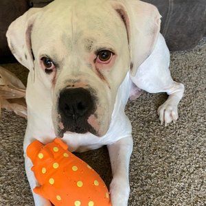 Meet your Posher, Jamie